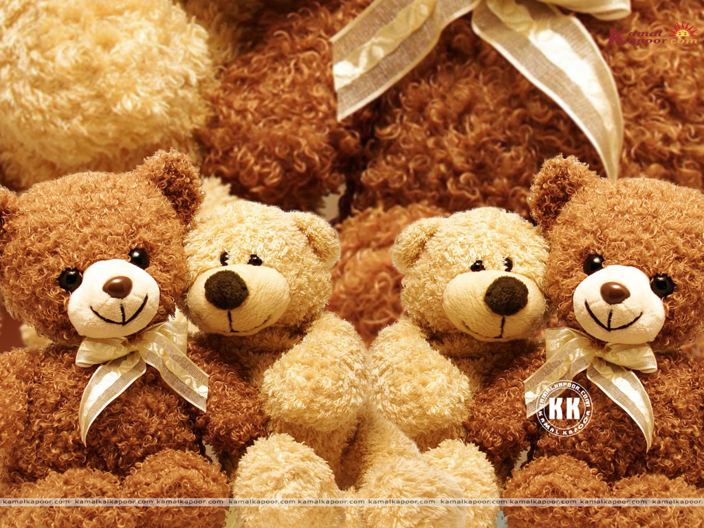 different colour teddy bear